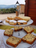 Pasare Glamping