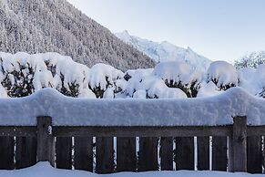 Chalet Hermine in Chamonix-mont-blanc
