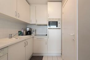 Spacious Apartment With Terrace