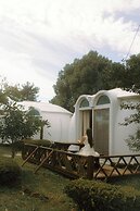 jeju domgrami