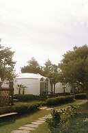 jeju domgrami
