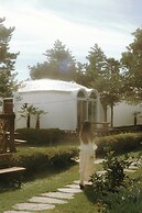 jeju domgrami
