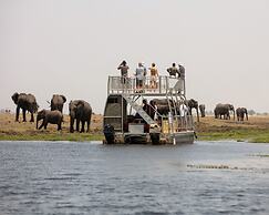 Taj Bush Lodge