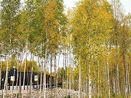 Silver Birch Resort
