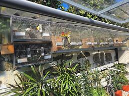 Jualis Guest House