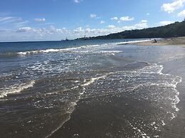 Perla Pacifico