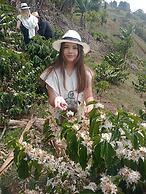 Don leandro Coffee farm  Glamping