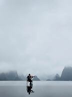 Misty Wonderland