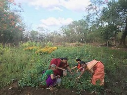 Snehban Agro Farm Resort