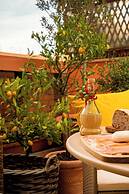 Vaticano 13 guesthouse
