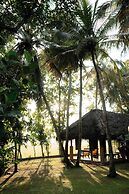 Kirindi Paddy Isle