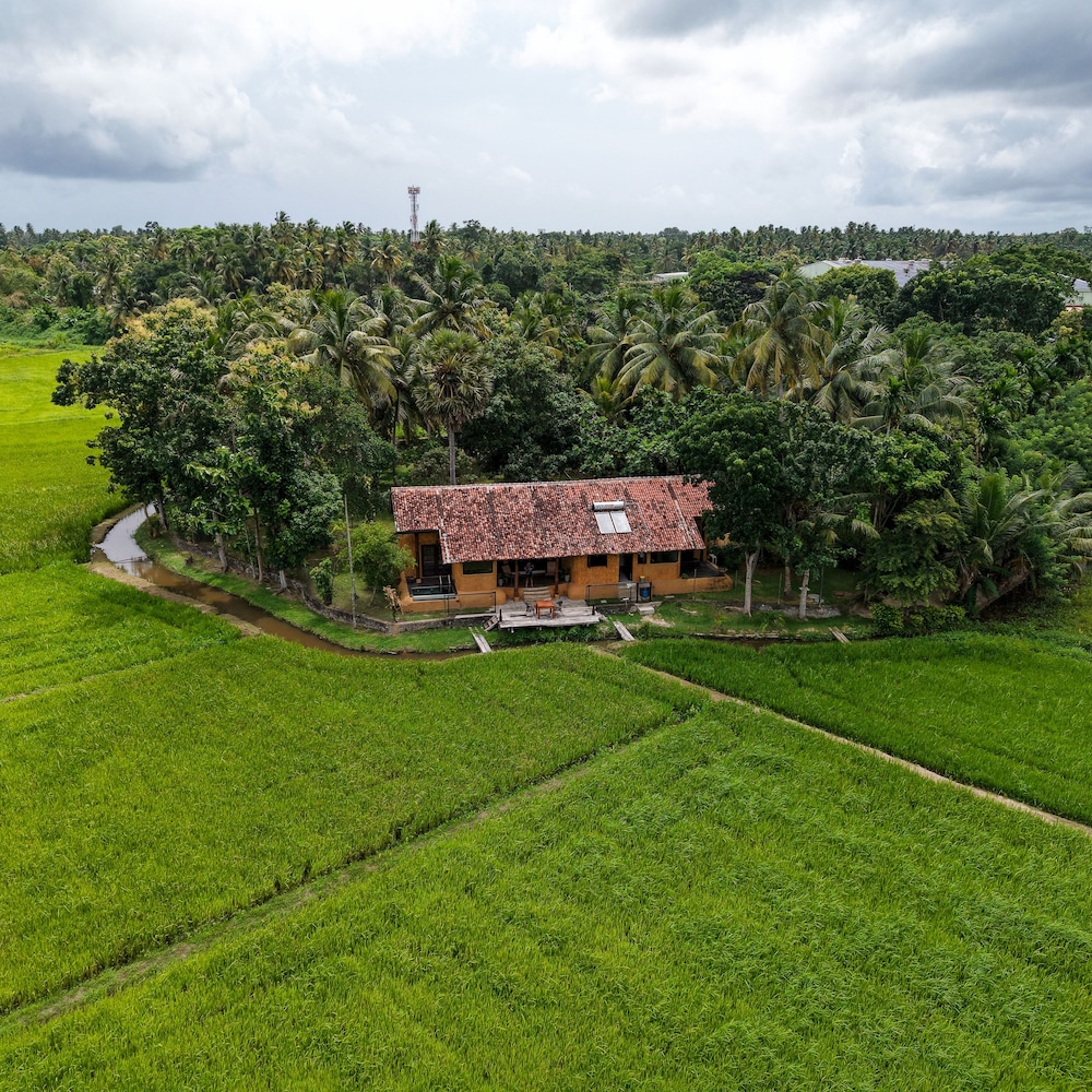 Kirindi Paddy Isle