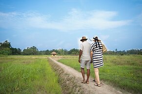 Kirindi Paddy Isle
