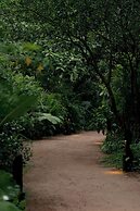 Kirindi Paddy Isle