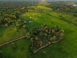 Kirindi Paddy Isle