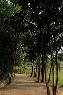 Kirindi Paddy Isle