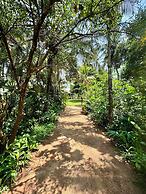Kirindi Paddy Isle