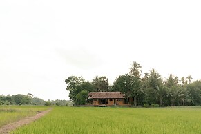 Kirindi Paddy Isle