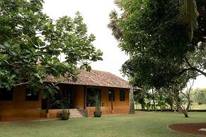 Kirindi Paddy Isle