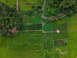 Kirindi Paddy Isle