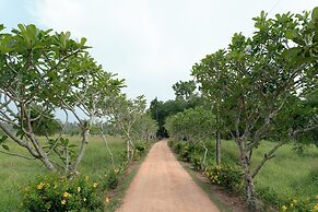 Kirindi Paddy Isle