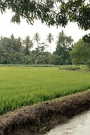 Kirindi Paddy Isle