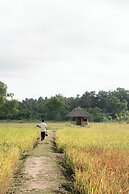 Kirindi Paddy Isle