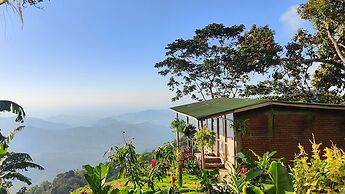 Minca Sintropia Organic Coffee Finca
