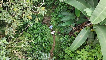Minca Sintropia Organic Coffee Finca