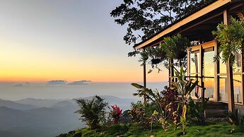 Minca Sintropia Organic Coffee Finca