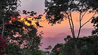 Minca Sintropia Organic Coffee Finca