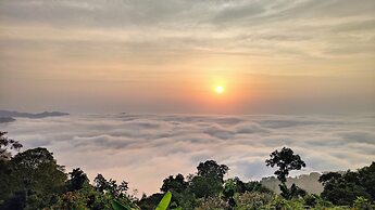 Minca Sintropia Organic Coffee Finca