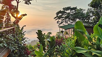 Minca Sintropia Organic Coffee Finca