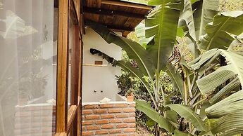 Minca Sintropia Organic Coffee Finca