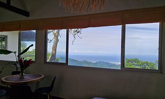 Minca Sintropia Organic Coffee Finca