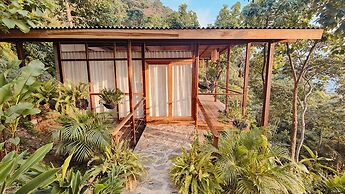Minca Sintropia Organic Coffee Finca