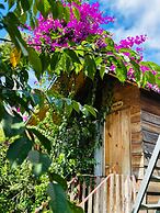 September Garden