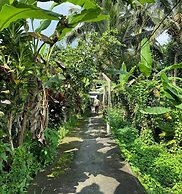 Parvati Retreat Villas