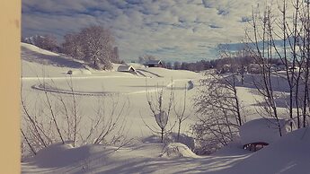 Spectacular Swiss Experience