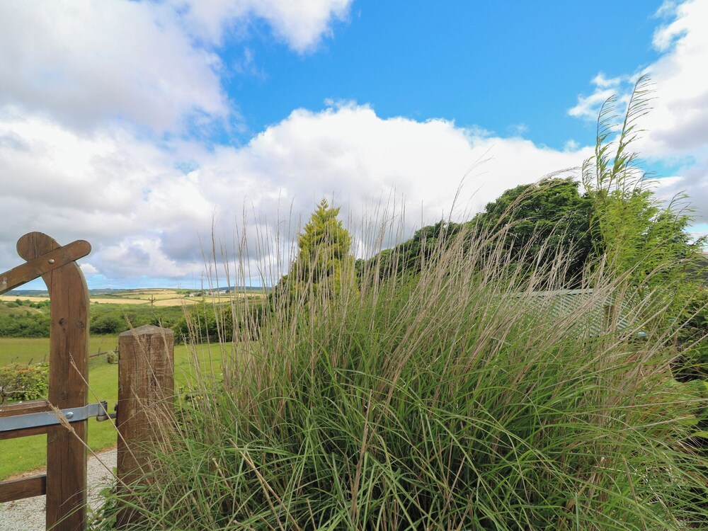 Cuckoo's Rest