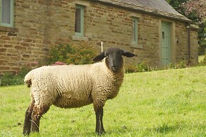 Temperance Croft