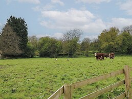Beech Cottage - Fold Yards