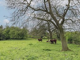 Alder Cottage - Fold Yards