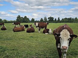 The Creamery