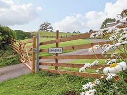 Bryn Bras