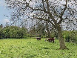 Hazel Cottage - Fold Yards