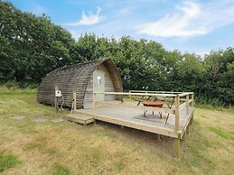 Sheep Shed @ Penbugle Organic Farm
