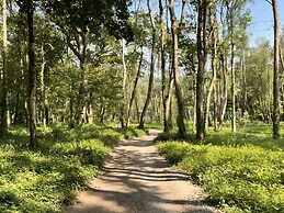Deer Park 9 - Copse Corner
