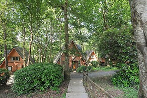Lodge Nine