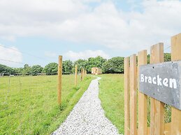 Bracken
